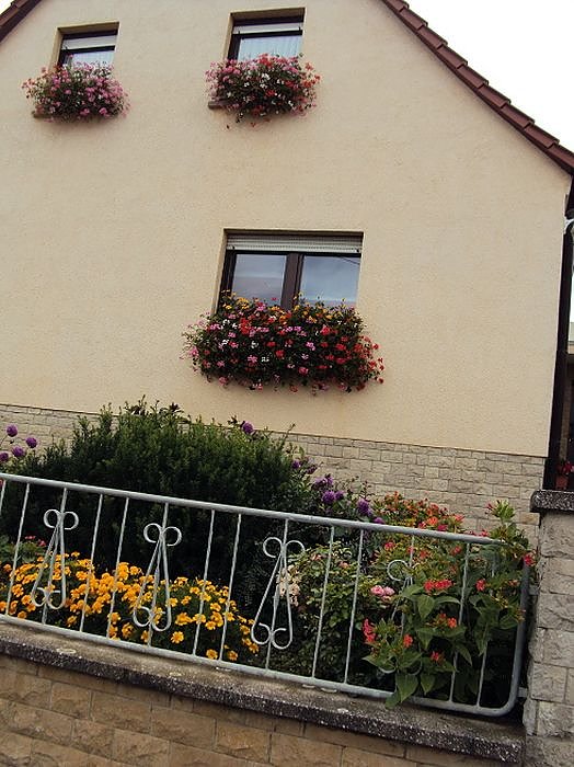 Frankenh&auml;user Bl&uuml;tensommer