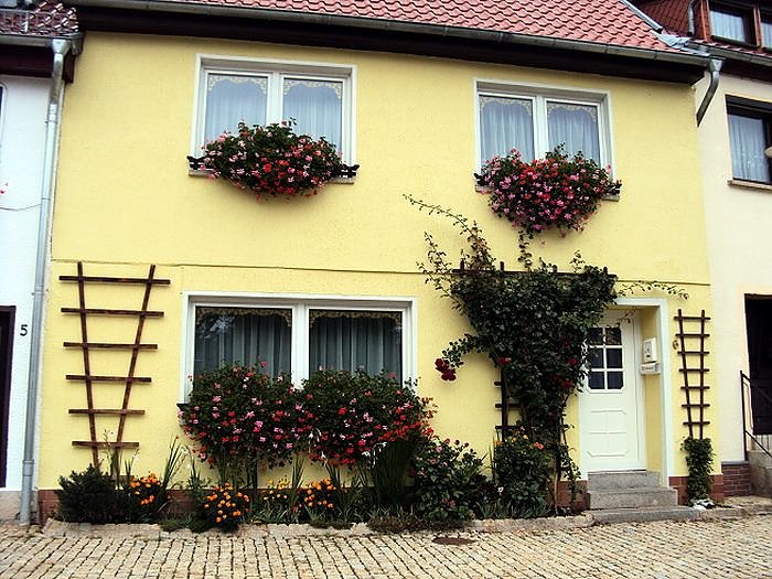 Frankenh&auml;user Bl&uuml;tensommer