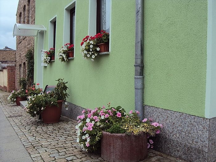 Frankenh&auml;user Bl&uuml;tensommer