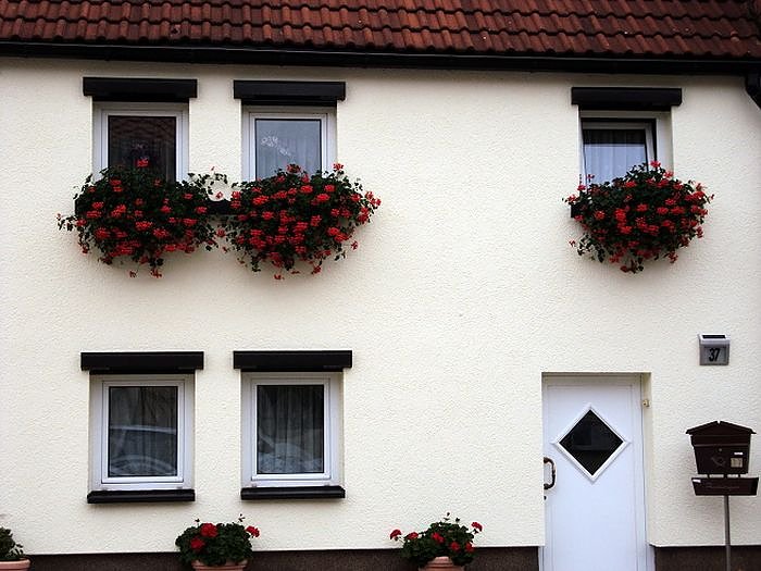 Frankenh&auml;user Bl&uuml;tensommer
