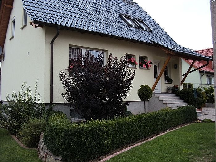 Frankenh&auml;user Bl&uuml;tensommer