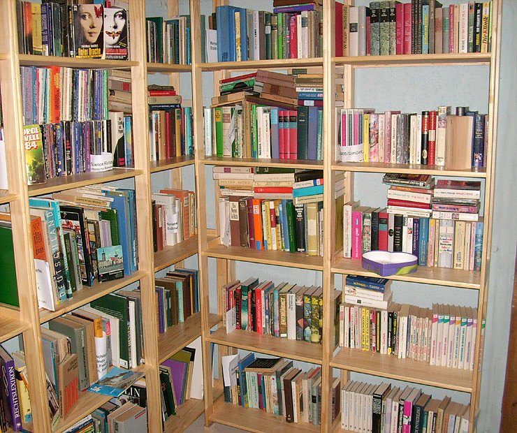 Teil der Bibliothek 2