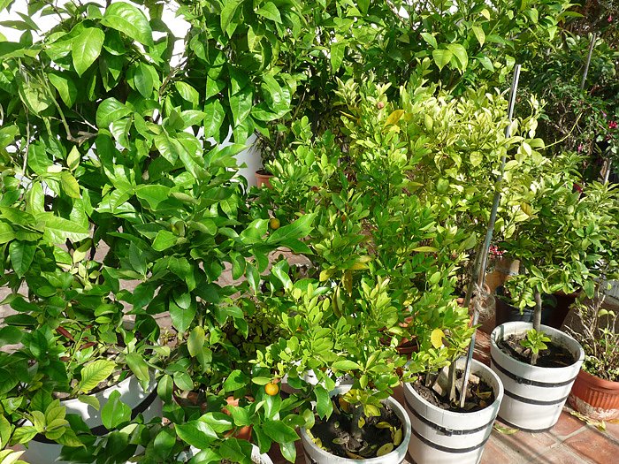 Einr&auml;umen in Bendeleben