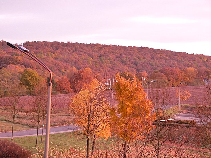 G&uuml;ldener Herbst