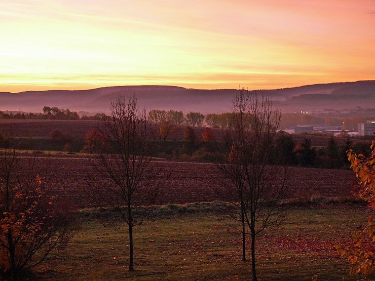 G&uuml;ldener Herbst