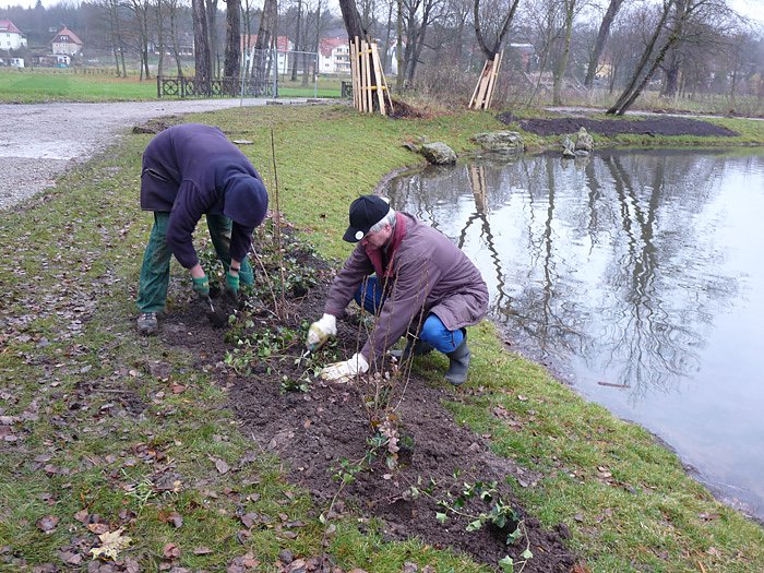 Selle im Landschaftsbau