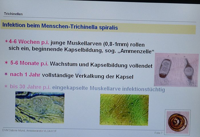 Trichinenlabor offen