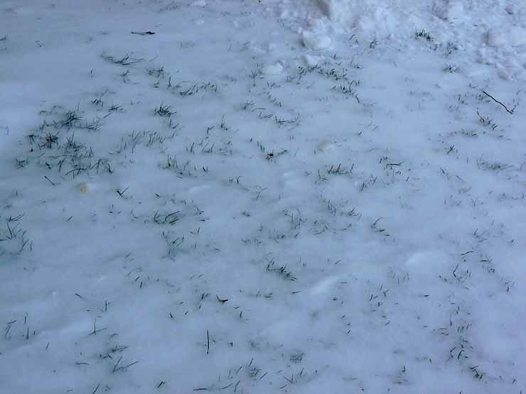 Schneeh&ouml;he &Ouml;stertal