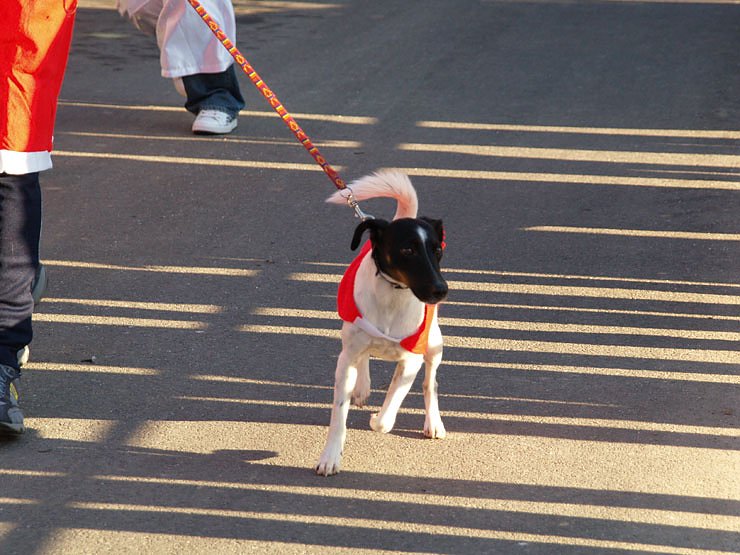 Weihnachtsmannlauf in Bilzingsleben 3