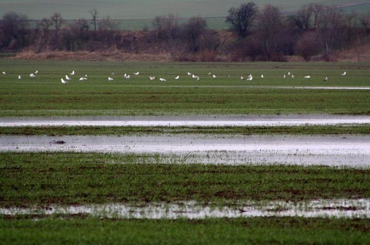 Unstrut bei Bottendorf