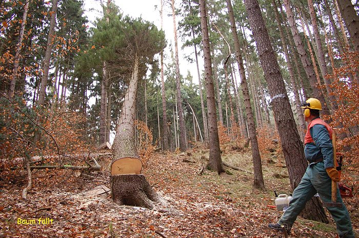 Aus- und Weiterbildung von Waldbesitzern